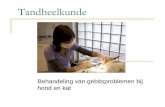 Tandheelkunde - maken.wikiwijs.nl behandeling... · Harde weerstand wijst vaak op tandsteen ... Te weinig water te warm Te veel water water met bacteriën kan in luchtwegen lopen