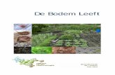 De Bodem Leeft - wur.nl · De module is gemaakt in opdracht van het Landelijk Ontwikkelpunt NLT. Deze module is ontwikkeld door • Baken Park Lyceum, Almere, José Mastenbroek ...
