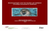 Beschouwingen over het houden van do lf ijnen · Bijlage 2 Ethogrammen van dolfijnen in het wild.....33 Beschouwingen over het houden van doflijnen (Tursiops truncatus) in dolfinaria