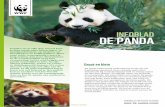 INFOBLAD DE PANDA - assets.wnf.nlassets.wnf.nl/downloads/spreekbeurt_pandas.pdf · doet en hoe de panda ons symbool is geworden. De panda (Ailuropoda melanoleuca) wordt ook wel ...