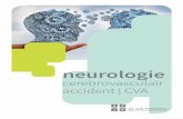 neurologiebrochures.azjpextra.be/sites/default/files/brochures/Neurologie CVA... · is ook belangrijk bij het vermijden van verwikkelingen na ... de ernst van het probleem of het