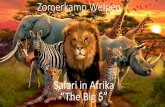 Safari in Afrika “The Big 5” - scoutsaalter.bescoutsaalter.be/wp-content/uploads/2017/05/Kampboekje-welpen-2016... · Intro Dag beste Welpen! Als een echte scouts houden jullie