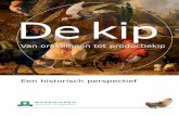 De kip - Europashoweuropashow.nl/.../03/Brochure-CGN-Geschiedenis-van-de-kip-2017.pdf · De Schijndelaar is aan het eind van de 20e eeuw ontstaan in Schijndel. Krielrassen Naast de