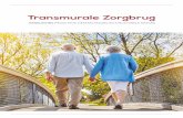 Handleiding Transmurale zorgbrug - beteroud.nl · Praktische zaken rondom implementatie van de TZB 19 4.1 Algemene informatie 19 1. ... 2012; Henderson & Zernike, 2001; Holland, Mistiaen,