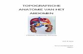 TOPOGRAFISCHE ANATOMIE VAN HET · PDF fileHet abdomen is een cilindervormige kamer uitbreidend vanaf de onderrand van de thorax tot aan de ... Het abdomen wordt in negen topografische
