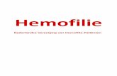Hemofiliefolder januari 2014 - nvhp.nl januari 2014... · verschillende gradaties van ernst voor (ernstig, matig en mild). ... bloedingen bij het trekken van kiezen, het knippen van