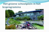 Het groene schoolplein in het lesprogramma · Schoolplein als groen klaslokaal; startpunt voor korte lesjes en opdrachten. Keuze voor adoptie van een stukje plein of een taak . Projecten