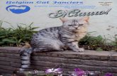Redactie 4 - ^..^= Belgian Cat Fanciers =^..^= BCF · Ippy van ‘t Hof Ritthem British Shorthair Blue Schotman Marco Ereklasse Beste Ereklasse Langhaar Koriaan’s Tarzan Persian