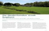 De Nederlandse wadi beplant - stad-en-groen.nl · Denk aan Duitsland, maar ook in de Verenigde Staten, in het bijzonder in Portland in de staat Oregon. Van daaruit is het concept