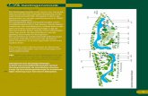 De Geologenstrook - Waterservicepunt Nijmegenwaterbewust.nl/docs/InformatierouteparkGeologenstrook.pdf · De boomklever is een echte bouwvakker. Voor het nest maakt hij gebruik van