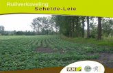 Ruilverkaveling Schelde -Leie - vlm.be · • Vaste kavels - potentieel verontreinigde gronden ... kavels kunnen worden gebruikt voor inrichting van niet-landbouwkundige functies