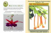 Jaargang No , aug. 2011 - Fuchsiavrienden Twente Salland november 2016.pdf · Tevens alle benodigdheden en planten voor hanging baskets, waaronder Surfinia’s, Verbena’s, Million