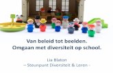 Lia Blaton Steunpunt Diversiteit & Leren - · •Educatief leiderschap –Klasproces opvolgen –Kwaliteit lkr. bewaken –Professionaliseren van leerkrachten •Consensus binnen