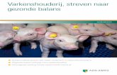 Varkenshouderij, streven naar gezonde balans - ABN AMRO · afmesten van varkens te bespreken en suggesties te doen hoe ondernemers in de varkens- ... In het eerste deel van dit rapport