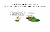 HANDLEIDING STUDIEVAARDIGHEDEN - pctest.vsgmedia.nlpctest.vsgmedia.nl/wp-content/uploads/2015/01/handleiding... · besteed aan onderwerpen zoals het periodeschrift, plannen, het noteren