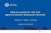 Chemoradiatie bij het spierinvasief blaascarcinoomstichtingduos.nl/wordpress/wp-content/uploads/DUOSchemorad... · Chemoradiatie bij het spierinvasief blaascarcinoom Richard P. Meijer,