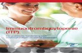 Immuuntrombocytopenie (ITP) - ebmt.org · 4 Immuuntrombocytopenie (ITP) – Een praktische handleiding voor verpleegkundigen en andere paramedici Epidemiologie ITP treft mensen van