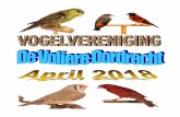 9 april komt Tino Simons uit Maassluis ons al-vogelverenigingenrayon5.nl/files/D05-Clubblad-april-2018.pdfMaandag 9 april komt Tino Simons uit Maassluis ons al-les leren over de Kleur