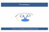 brochure Prolaps UCNWVL - ucnwvl48.webnode.com · prolaps (= verzakking van de blaas, baarmoeder en/of darm). Ongeveer 11 % van ... baarmoeder = descensus uteri of uterusprolaps wanneer