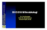 BIO210 Mikrobiologiocw.usu.ac.id/course/download/8110000034-mikrobiologi/bio210_slide... · Sistem Klasifikasi • Klasifikasi alami ... • Sistem Filogenetik ... (empire) yang kingdom