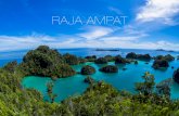 RAJA AMPAT - Private Yacht Charters World Wide! .RAJA AMPAT If youâ€™ve ever watched the old Jacques