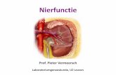 Nierfunctie · 2011-12-20 · • glomerulonefritis • pyelonefritis, UWI • trauma (katheter) • stollingsstoornissen • nierinfarct • mechanisch wrijven: marathon . 2) Teststrook