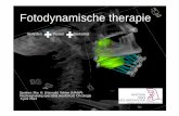 Fotodynamische therapie - oncologieinperspectief.avl.nl · 2012 2e primaire cavum nasi curatieve chirurgie is technisch niet mogelijk. Debulking met adjuvante fotodynamische therapie