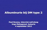 Albuminurie bij DM type 2 - elkerliek.nl · Casus Mw. J-J, 63 jaar •Visite 2/1/12 i.v.m. een rood been •Nieuwe huisarts •VG: DM II sinds ’97 met DRP; ulcus cruris; lymfeoedeem