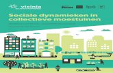 ERVARINGEN UIT BRUSSEL, VLAANDEREN EN WALLONIË … · van een lokaal netwerk van Molenbeekse tuiniers om de uitwisseling van materiaal, haksel, … mogelijk te maken; participatieve