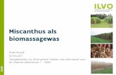 Miscanthus als biomassagewas - inagro.be · O Miscanthus als biomassagewas Hilde Muylle 16/03/2017 'Energieteelten en Alternatieve Teelten, een alternatief voor de Vlaamse akkerbouw