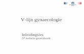 V-lijn gynaecologie · Overzicht • Patiënte (geruststelling en instructies) • Reden van het bezoek (routine, SOA …) • Onderzoek – Benodigdheden – Inspectie/speculuminstelling