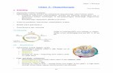 Hfdst 2: Chemotherapie - Telenet.beusers.telenet.be/thibaultmeert/oncologie_deel_2.pdf · monitoring van urine (microscopische hematurie) ... beperkte mogelijkheden: via LP, ommaya