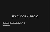 RX THORAX: BASIC - brugse.dierenartsenkringen.be · Techniek Hoge kV (inherent hoog contrast thorax), laag ms (korte belichtingstijd) ↔ RX abdomen Positionering: extensie voorpoten