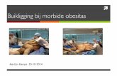 buikligging morbide obesitas - Intensivistenopleidingintensivistenopleiding.nl/downloads-25/files/Prone morbide obesitas.pdf · Inleiding! Patiente 31 jaar ! BMI >45 ! Pneumonie met