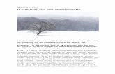 bartheirweg.com  · Web viewIn dit artikel reik ik 10 praktische tips aan voor het creatief in beeld brengen van sneeuwlandschappen en winterse ... Word je zicht beperkt door mist,