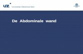 De Abdominale wand - bast.be · 9 Hernia inguinalis –Anatomie (1) Liesregio (groin) Fascia transversalis Ligamentum inguinale (Poupart) Ligamentum pectineale (Cooper) Conjoint tendon