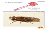 Contactorgaan van de Sectie Diptera van de Nederlandse ... · ongesorteerd en niet gedetermineerd materi-aal. Mijn ene dag hulp in de week lijkt wel een ... exemplaar als toetje tot