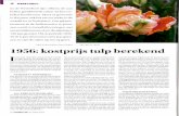 Tekst en fotografie: Peter Knippels Tulp 'Sal mon Pa rrot ... · Het Vakblad voor Bloem-bollenteelt en -Handel schrijft: 'Hij was een geboren Leider. Zijn rijzige gestalte scheen