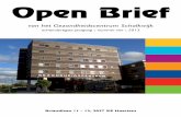 Open Brief - gcschalkwijk.nl · spreekuur, een blok voor visite rijden, een blok voor overleg/ vergadering en in de middag weer plek voor consulten. Als de huisarts ook opleider is