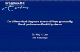 De differentiaal diagnose tussen diffuus grootcellig B-cel ... · Centroblastic / immunoblastic Anaplastic / plasmacytoid (CD 30+, ALK-1+) WHO 2008: Plasmablastic often immunoblasts,
