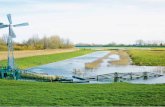 Landschap 34(1) - helpdeskwater.nl · Door regenbuien in augustus steeg het waterpeil. Vanaf maart 2015 is water uitgemalen en ge-Figuur 2 waterpeil in de Koopmanspolder 2012-2016