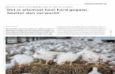 Opmars diervriendelijke kip is niet te stuiten ‘H et is ... · 23 | voeding nu | | maart/april 2017 | nummer 2 | aandacht voor dierenwelzijn: daglicht, frisse lucht en balen stro