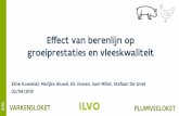 Effect van berenlijn op groeiprestaties en vleeskwaliteit van... · O Situatie in Vlaanderen Hybride zeug Belgische Piétrain Lage voederconversie Hoge karkaskwaliteit Laag intramusculair