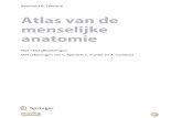 Atlas van de menselijke anatomie - kellebeek.netkellebeek.net/afy/hoofdstukken/CD info.pdf · Het ‘Zentrum für Klinische Anatomie’ werd in 1994 aan het anatomisch instituut van