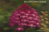 Eurorchi - dwkdb.nl · H. Derxen en E. DUK Orchideeën rond het drielandenpunt H. Derren Opmerkingen over het bloeitijdstip van orchideeën aan de hand van een vondst van Barlia robertiana