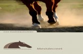 GIDS PAARDENHOUDERIJ - paarden.vlaanderen · werd een totaal nieuw mestdecreet van kracht, het ‘Decreet houdende de bescherming van water tegen de ver- ontreiniging door nitraten