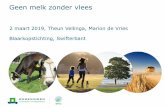 Geen melk zonder vlees -   · PDF fileGeen melk zonder vlees 2 maart 2019, Theun Vellinga, Marion de Vries Blaarkopstichting, Swifterbant