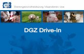 DGZ Drive-In · ‐ Geen of zelden klinische mastitis ‐ Vet / eiwit: 43 / 34 • Ureum: +/- 270 Uiergezondheid . Dierengezondheidszorg Vlaanderen vzw Kalveropfok . 30 • In eerste