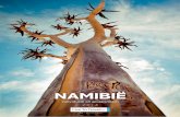 NAMIBIË - livetotravel.be · 2 | Welkom | Namibië Welkom Beste reiziger, U heeft overschot van gelijk als u overweegt om door fantastisch Namibië te reizen! Zonder enige twijfel