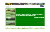 Gedragscode invasieve planten in België · wetgeving met betrekking tot natuurbehoud, invasieve soorten en tuinafvalbeheer (sluikstorting van groenafval in de natuur is verboden